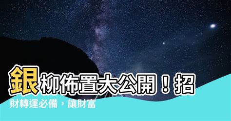 銀柳佈置|2024銀柳風水佈局指南：招財、人緣、桃花運一次搞定！